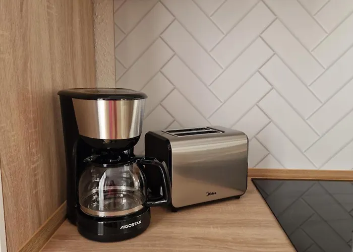 Apartment Murihaus 10 Aue (Saxony)